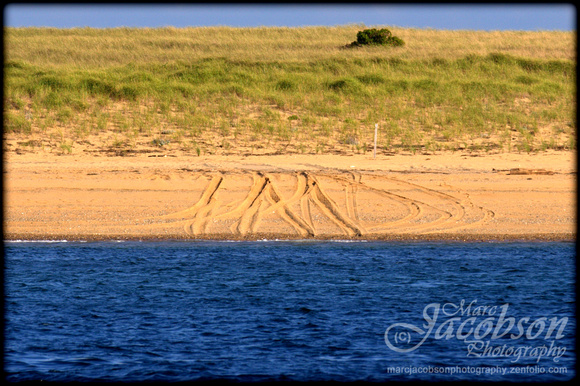 "Cape Cod", Provincetown, "Whale watching", "Lower/Outer Cape"