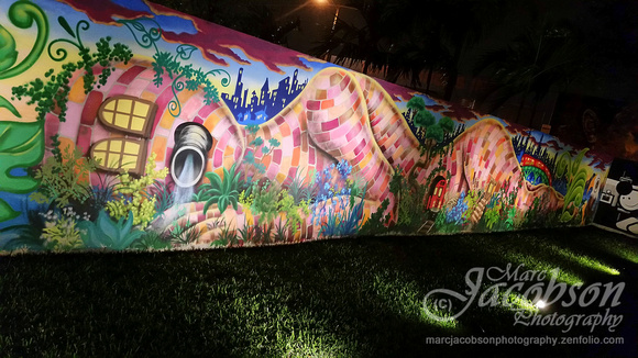 Walls of Wynwood (Miami, FL)