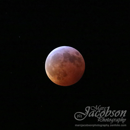 Full Blood Wolf Moon Total Lunar Eclipse