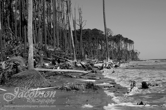 Hunting Island State Park (2019)