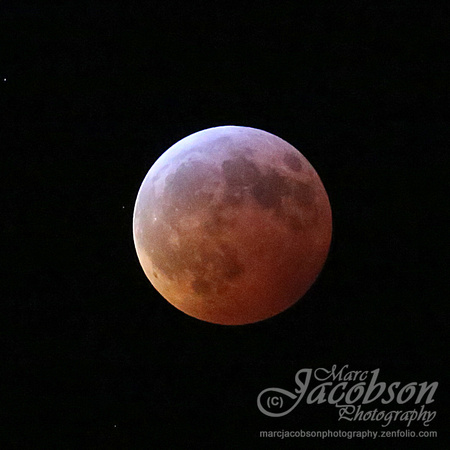 Full Blood Wolf Moon Total Lunar Eclipse