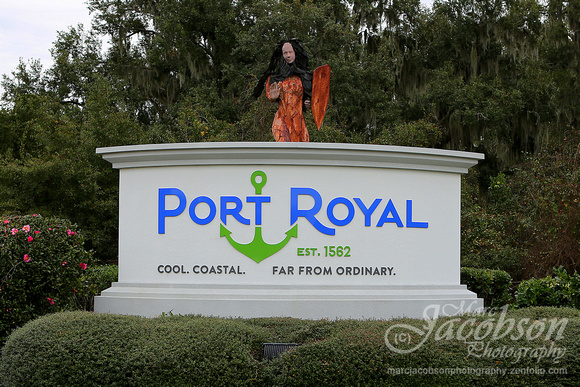Port Royal Views (2019)