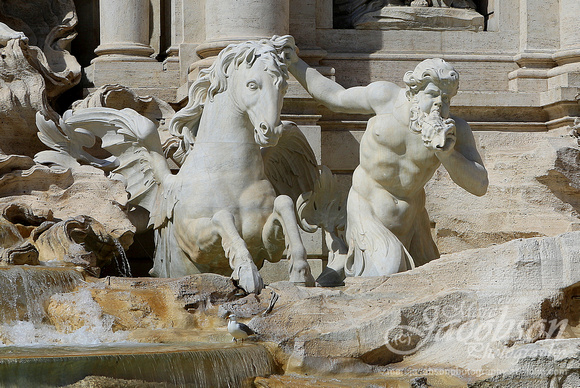 Fontana di Trevi (Rome)