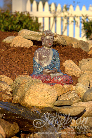 Pond Budha
